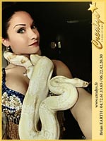 serpents91.jpg Crealys